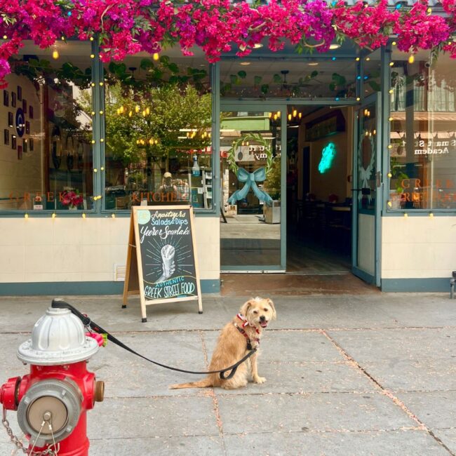 ela greek kitchen jersey city