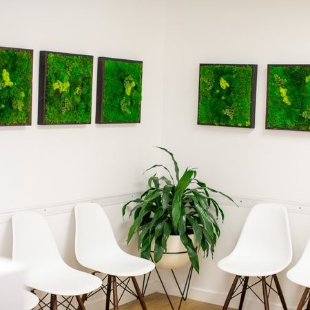 Harborside-Sport-Spine