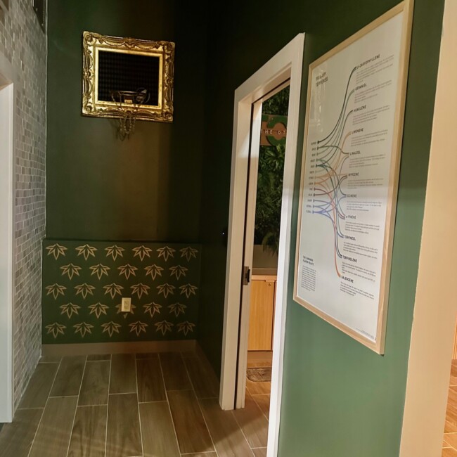 a hallway at the other side dispensary